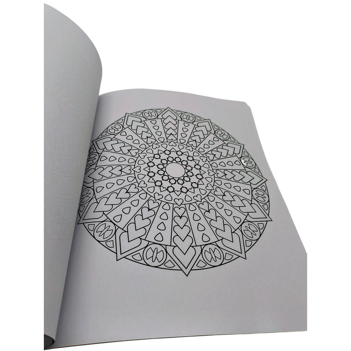 The Mandala Coloring Book by Clare Goodwin - 60 Intricate Designs for Mindful, 1 - Danisak
