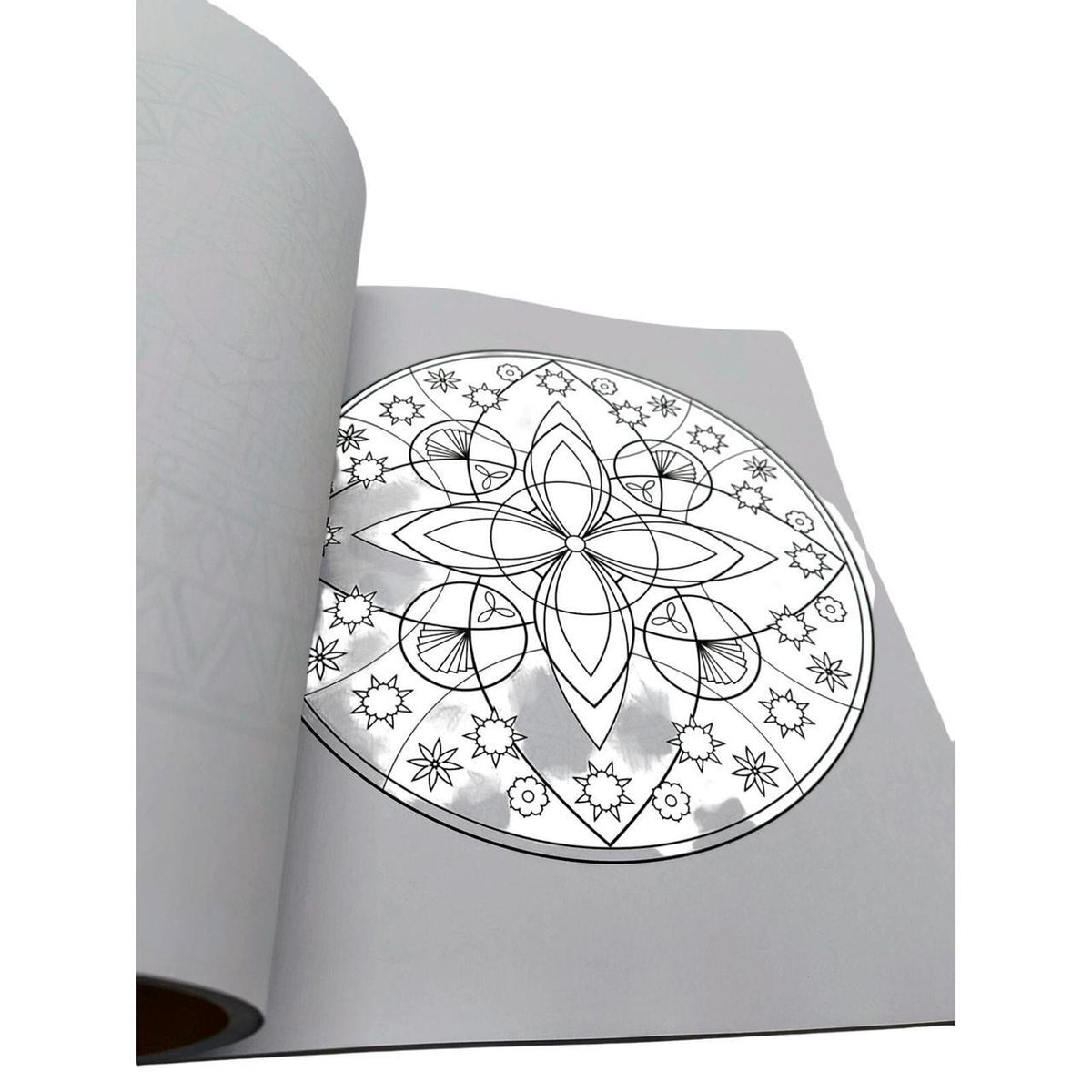 The Mandala Coloring Book by Clare Goodwin - 60 Intricate Designs for Mindful, 1 - Danisak