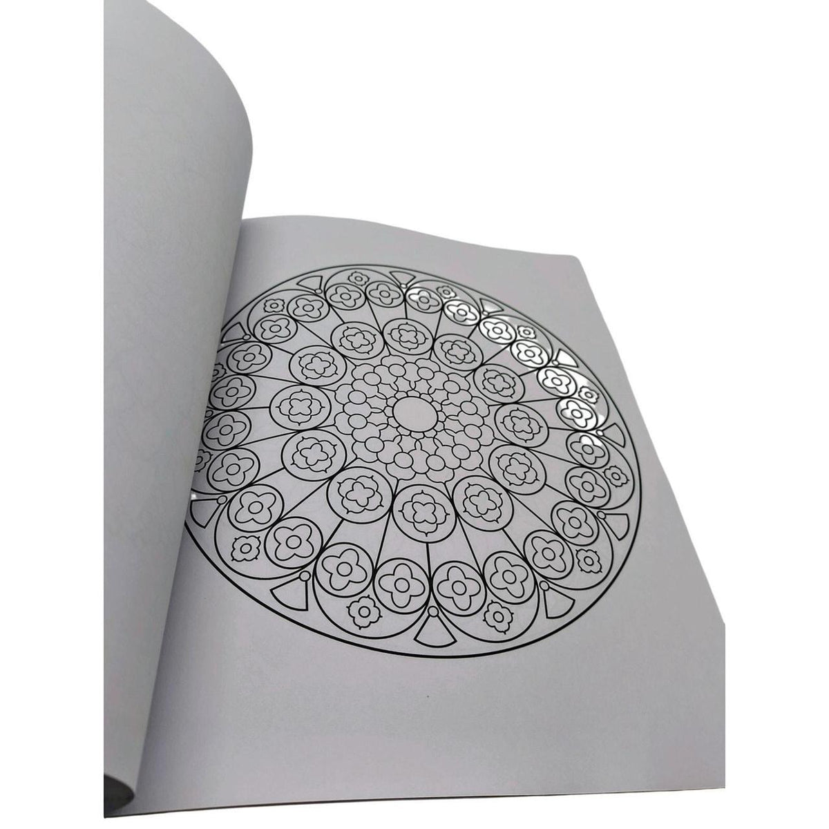 The Mandala Coloring Book by Clare Goodwin - 60 Intricate Designs for Mindful, 1 - Danisak
