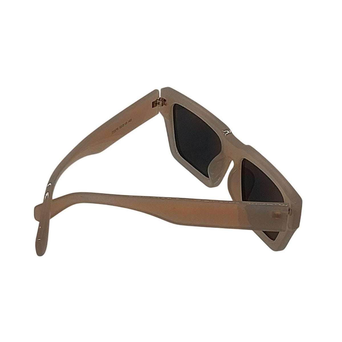 Frosted Matte Neutral Clear Sunglasses | Transparent Retro Indie Shades - Danisak