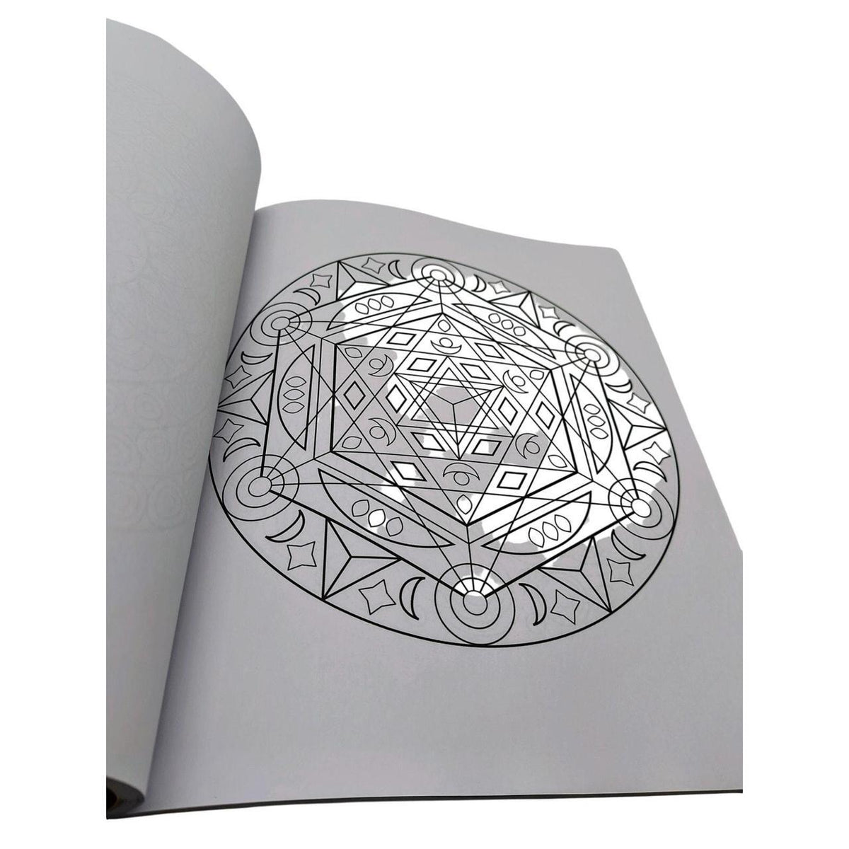 The Mandala Coloring Book by Clare Goodwin - 60 Intricate Designs for Mindful, 1 - Danisak
