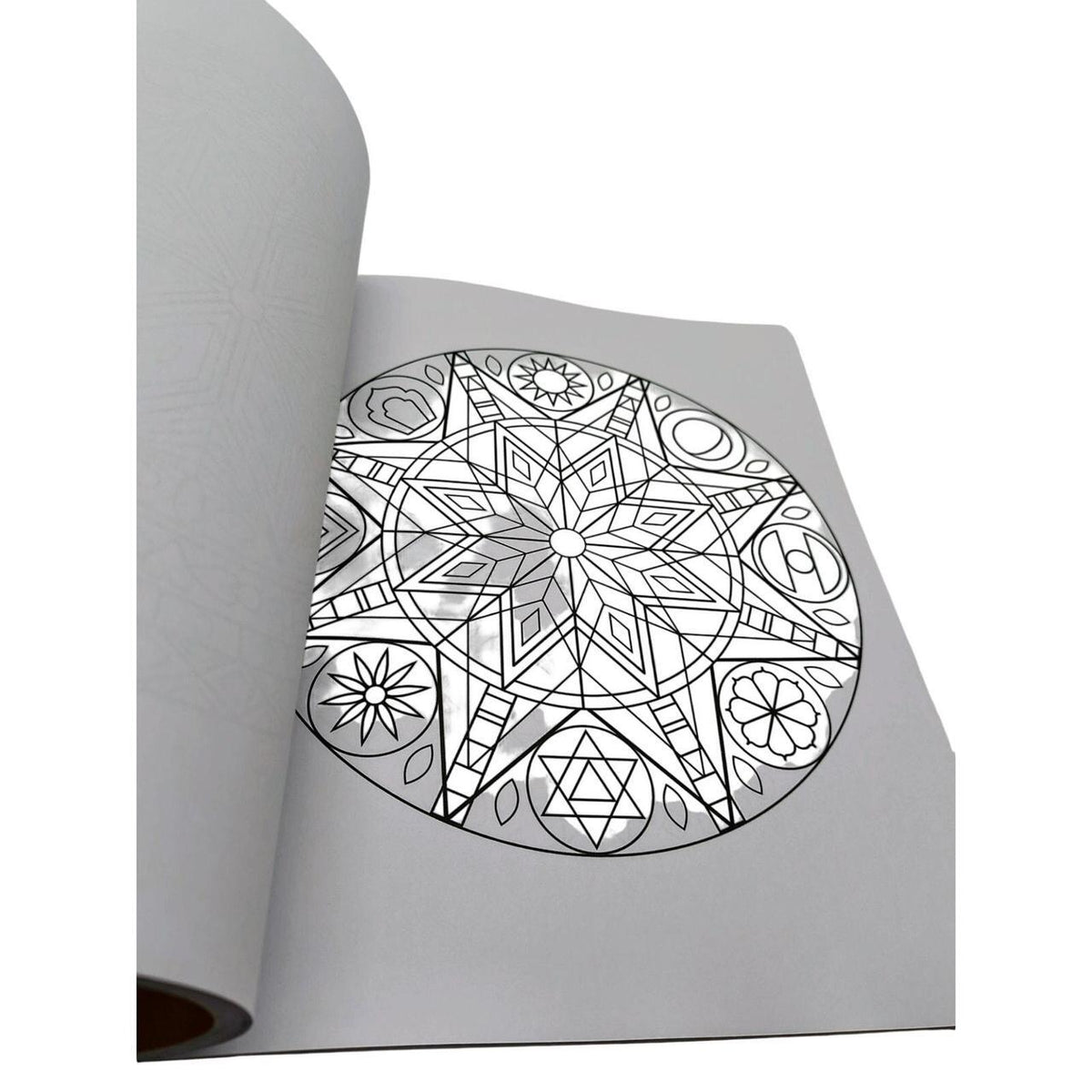 The Mandala Coloring Book by Clare Goodwin - 60 Intricate Designs for Mindful, 1 - Danisak